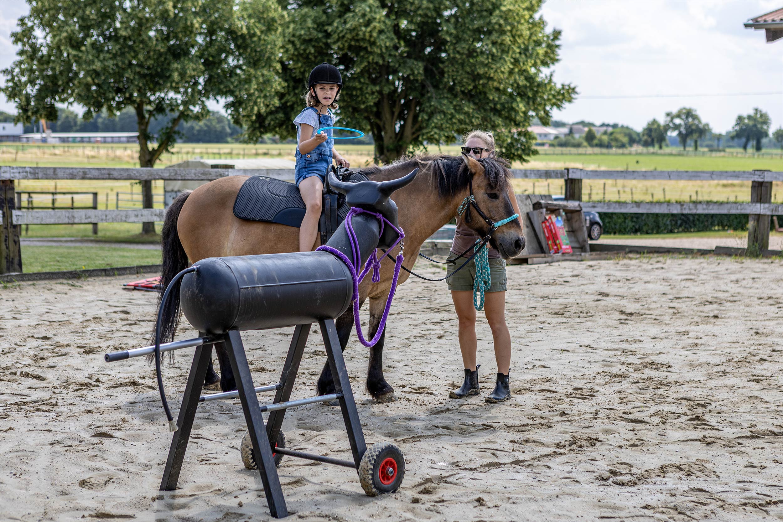 Pferdeverhalten und Coaching