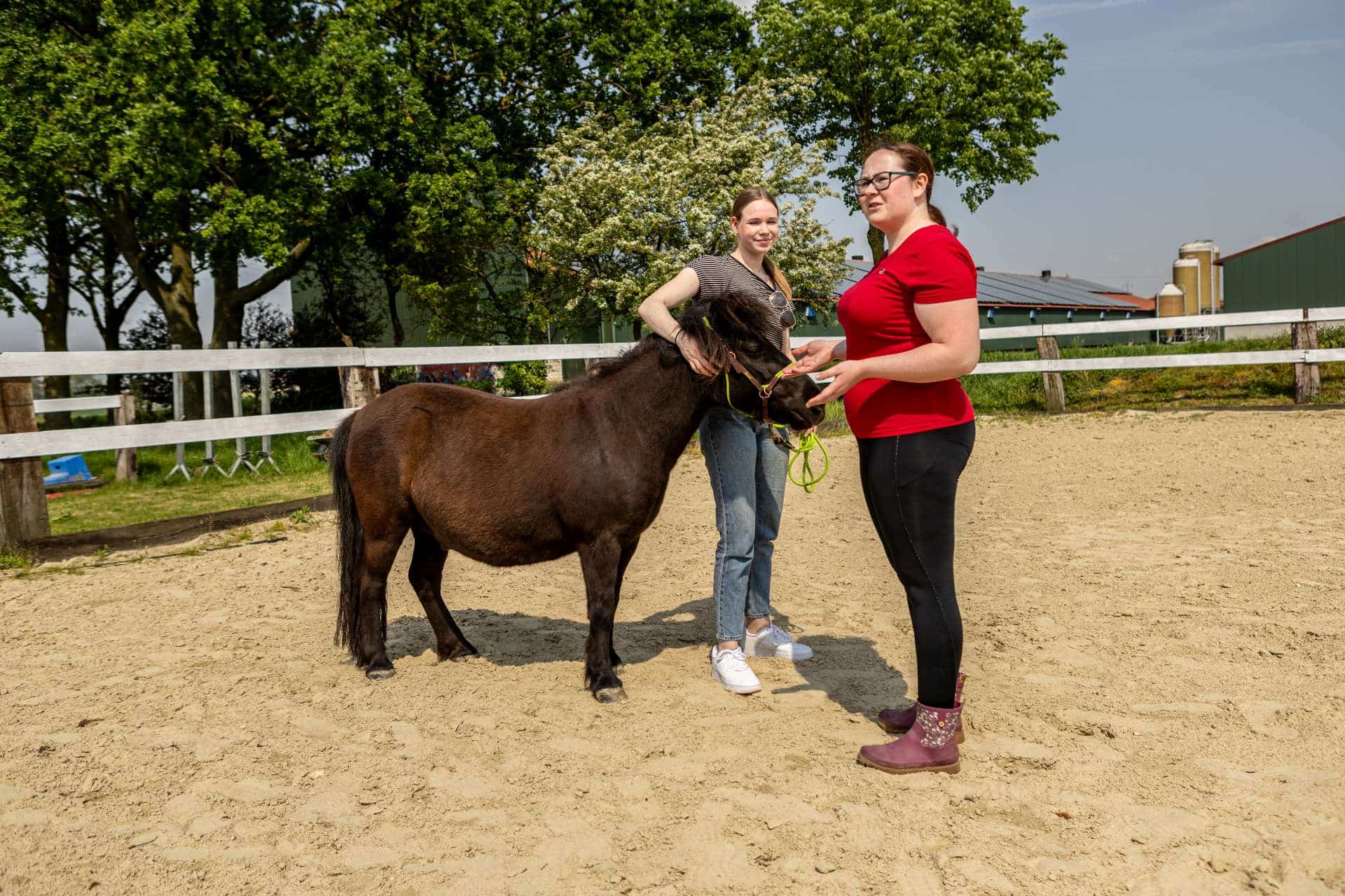 Freiarbeit und Bodenarbeit