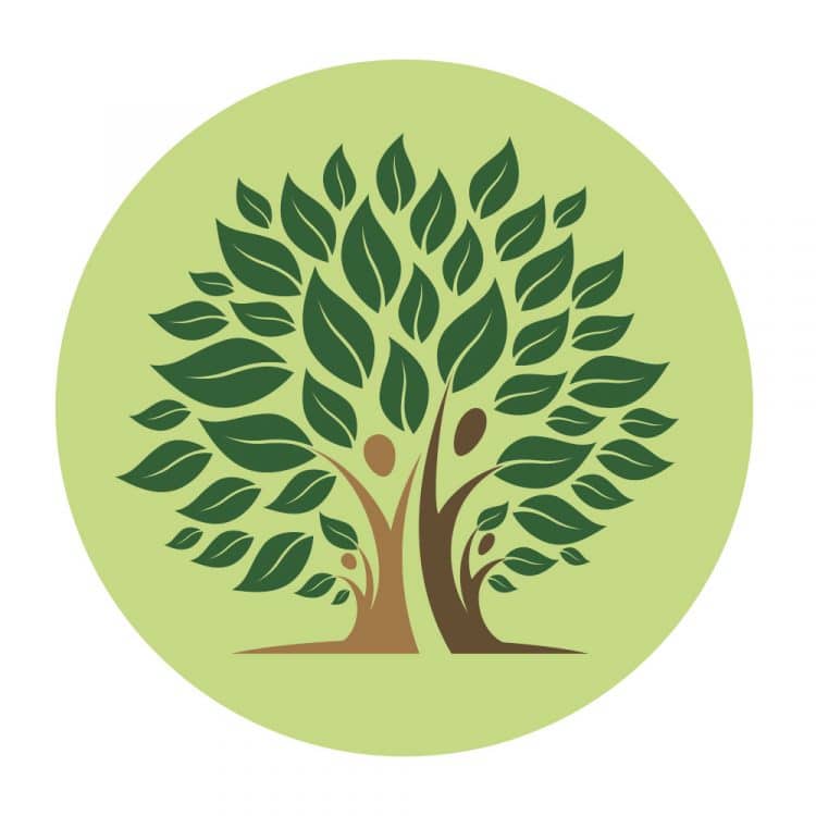 Anatomie und erste Hilfe am Pferd