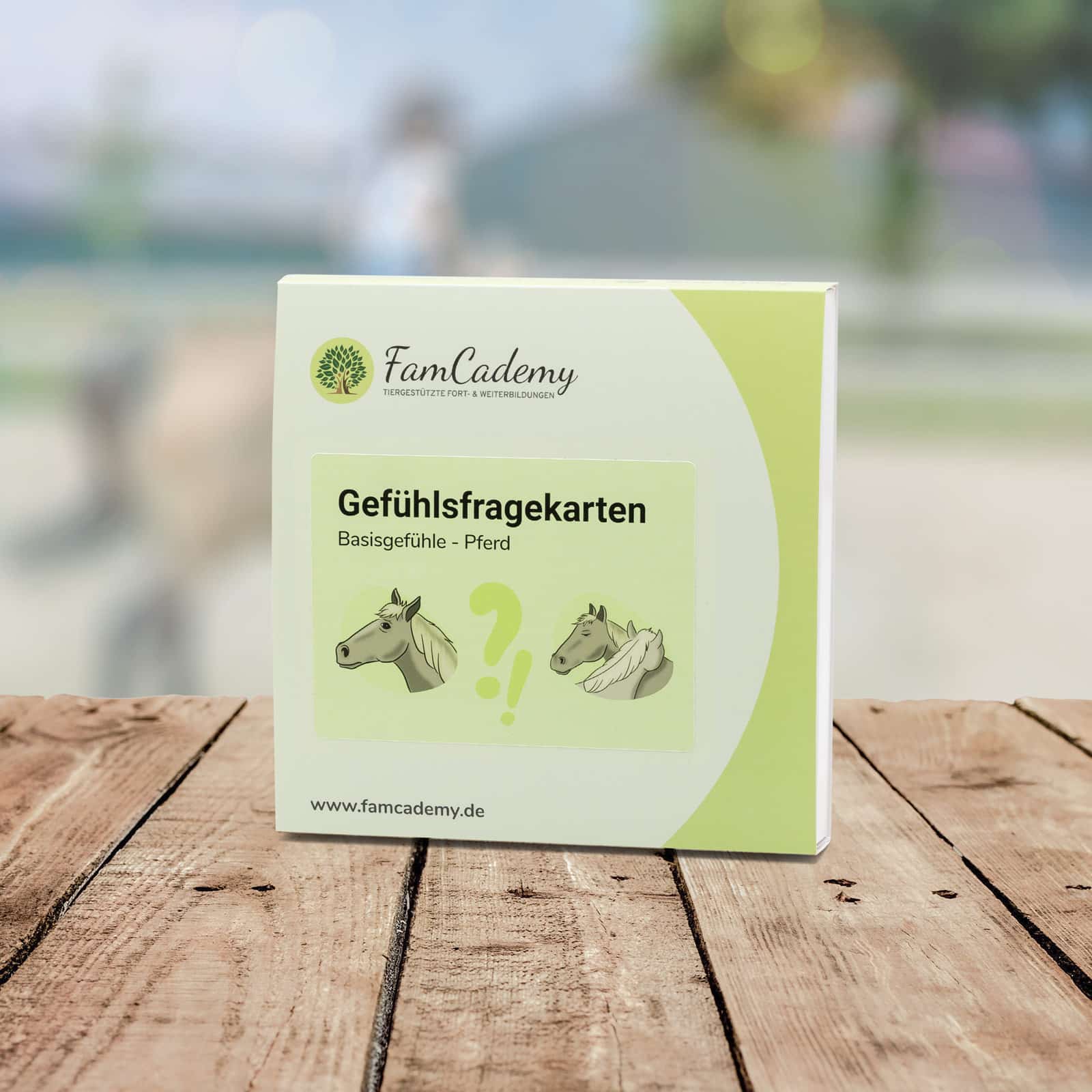 Gefühlsfragekarten – Pferd Gefühlsfragekarten – Pferd