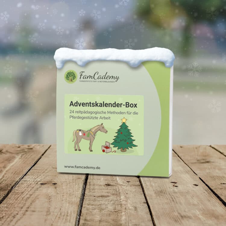 Adventskalender – Methoden-Box