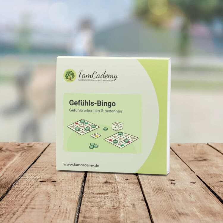 Gefühlsbingo – Kind & Pferd