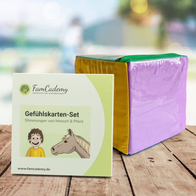 Gefühlskarten Set + Würfel – Stimmungen von Mensch & Pferd