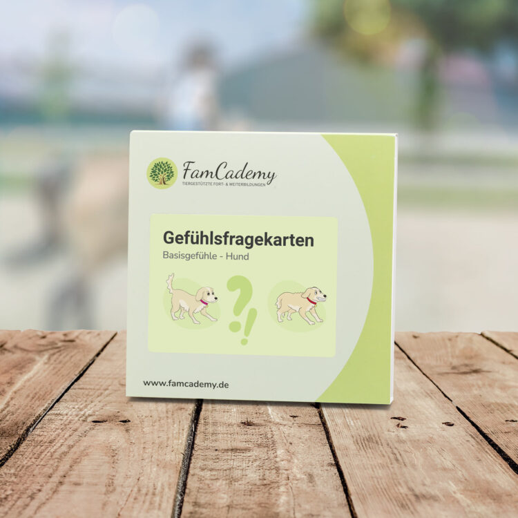 Gefühlsfragekarten – Hund