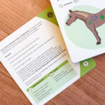 Methoden Box 2 – Farben & Gefühle Methoden Box 2 – Farben & Gefühle